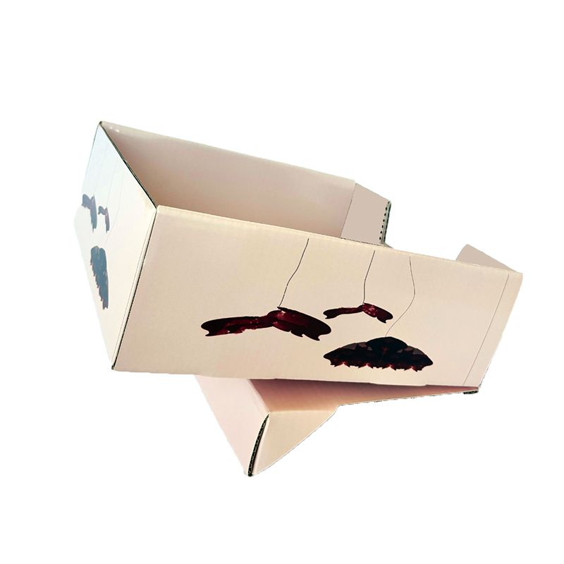 PDQ PAQUETE RÁPIDO Caja de papel de embalaje ambientalmente amigable, caja de regalo plegable